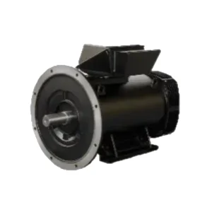 PLSES 4500