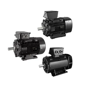 Synchronous Motors